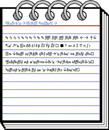 InfoDispBook ItalicExp Font