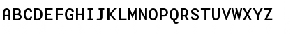 BaseMonoWideReg Roman Font