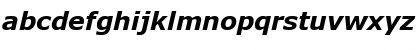 MS Reference Sans Serif Bold Italic Font