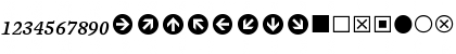 Mercury Numeric G4 Italic Font