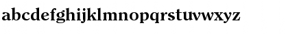 Clarity Serif SF Bold Font