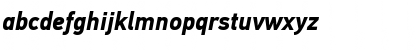 PF DinText Pro Bold Italic Font