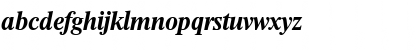 JonasBecker Bold Italic Font