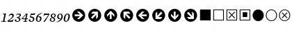 Mercury Numeric G1 Italic Font