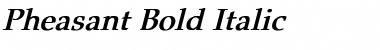 Pheasant Bold Italic