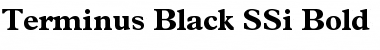 Terminus Black SSi Font