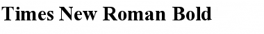 Times New Roman Font