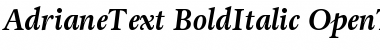 Adriane Text Bold Italic Font