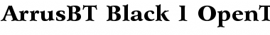 Bitstream Arrus Black