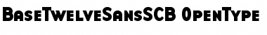 BaseTwelveSansSCB Font