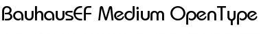 Download BauhausEF-Medium Font