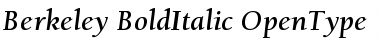 Berkeley Oldstyle Bold Italic Font