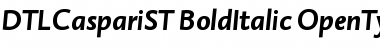 DTLCaspariST BoldItalic Font