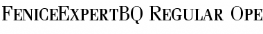 Download Fenice Expert BQ Font