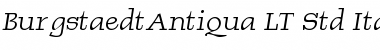 Download BurgstaedtAntiqua LT Std Italic Font