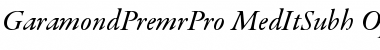 Garamond Premier Pro Medium Italic Subhead