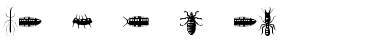 Insectile Regular