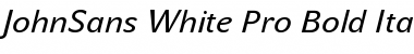 JohnSans White Pro Bold Italic