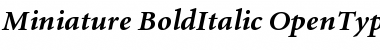Miniature Bold Italic