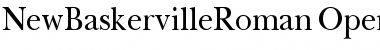 New BaskervilleRoman Font