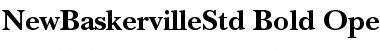 ITC New Baskerville Std Font