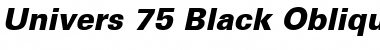 Univers 55 Bold Italic