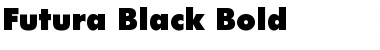 Futura-Black Font