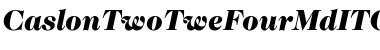 CaslonTwoTweFourMdITC Bold Italic