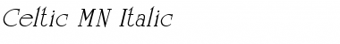 Celtic MN Italic Font