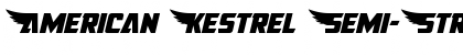 Download American Kestrel Semi-Straight Font