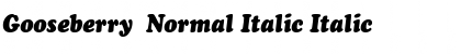 Gooseberry  Normal Italic Italic Font