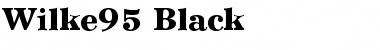 Download Wilke95-Black Font