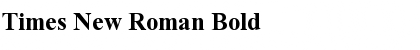 Times New Roman Font