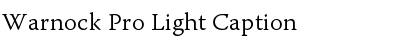 Warnock Pro Light Caption Font