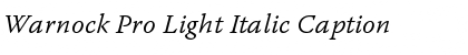 Warnock Pro Light Italic Caption Font