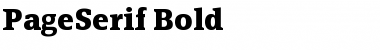 PageSerif-Bold Regular Font