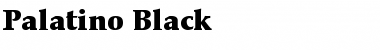 Palatino-Black Font