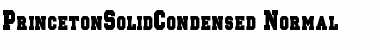 PrincetonSolidCondensed Font