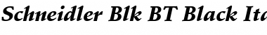 Schneidler Blk BT Black Italic Font