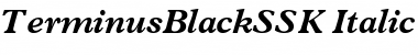 Download TerminusBlackSSK Font