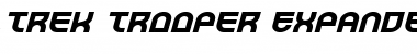 Download Trek Trooper Expanded Italic Font