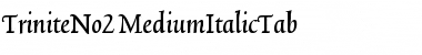 TriniteNo2 Medium Font
