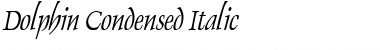 Dolphin Condensed Italic