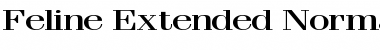 Feline Extended Font