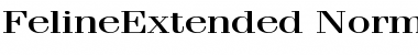 FelineExtended Normal Font
