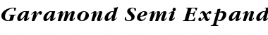 Garamond Semi Expanded SSi Bold Semi Expanded Italic Font