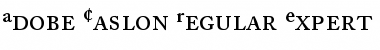 ACaslonExp Regular Regular Font