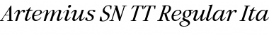 Artemius SN TT Regular Italic