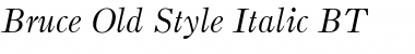 BruceOldStyle BT Italic