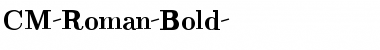 CM_Roman Bold Font